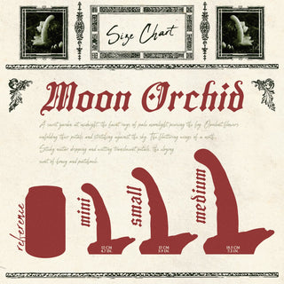 Crystalline Small Moon Orchid (Firmness: Soft*)
