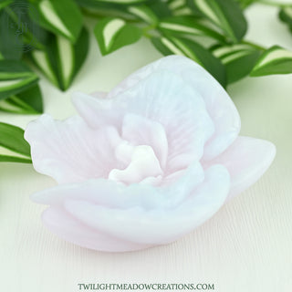 O/S Moon Orchid Grinder (Firmness: Medium)