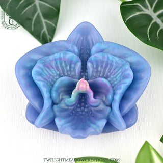 O/S Moon Orchid Grinder (Firmness: Medium)