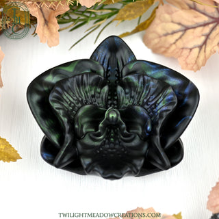O/S Moon Orchid Grinder FLOP (Firmness: Soft)