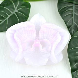 O/S Moon Orchid Grinder (Firmness: Soft)