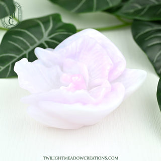 O/S Moon Orchid Grinder (Firmness: Soft)