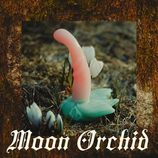 Crystalline Small Moon Orchid (Firmness: Soft*)