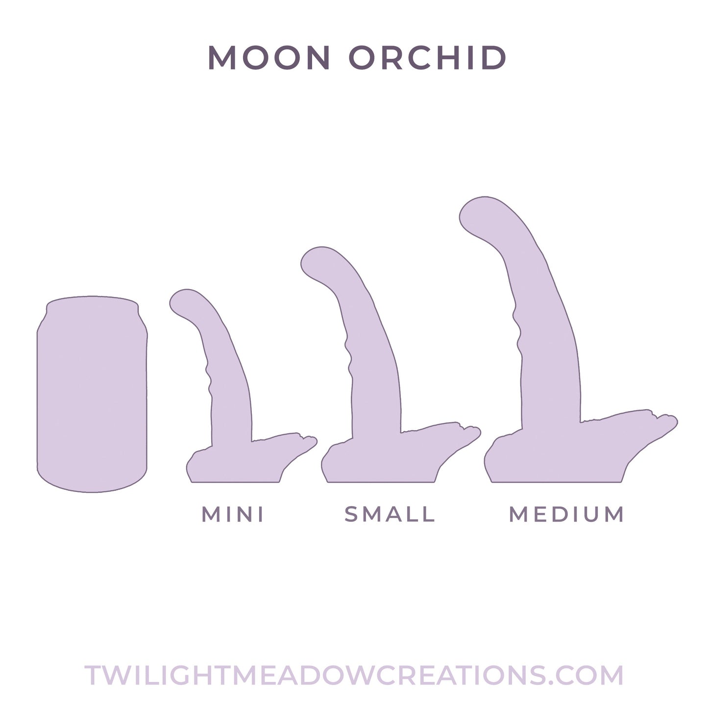 Crystalline Mini Moon Orchid (Firmness: Soft*)