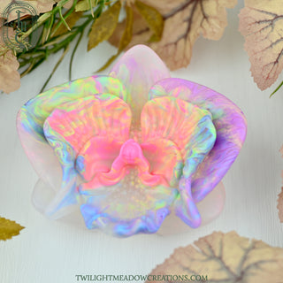 Crystalline O/S Moon Orchid Grinder FLOP (Firmness Soft*)