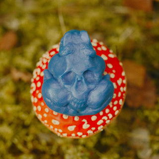 Skull Toad Squishie